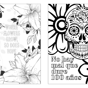 Adult Coloring Book