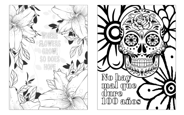 Adult Coloring Book